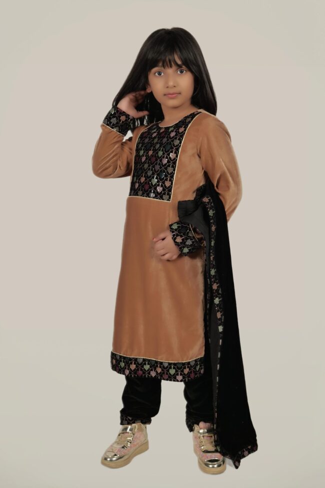 Kids Beige Velvet Embroided Straight Kurta With Sharara And Dupatta - Image 5