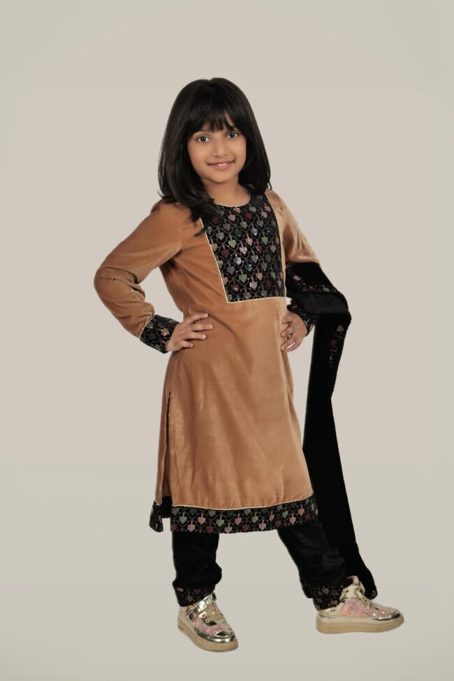 Kids Beige Velvet Embroided Straight Kurta With Sharara And Dupatta - Image 4